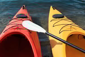 Aventura en kayak: una escapada de 2 horas en la naturaleza
