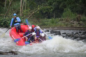 La Fortuna: Arenal Balsa-elven klasse 2 og 3 Whitewater Rafting