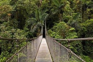 La Fortuna: Arenal Combo Riippusillat, vesiputous, tulivuori.