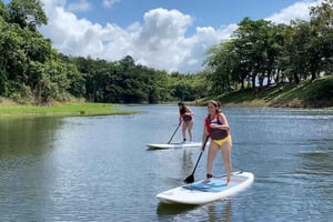 La Fortuna : excursion privée en stand up paddle sur le lac Arenal