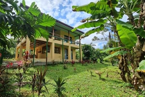 ラ・フォルトゥナ朝のバードウォッチング、コーヒーとエネルギー・ワーク