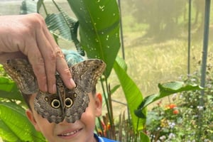 La Fortuna: Nacht-Schmetterlingsreservat und Nachtwanderung