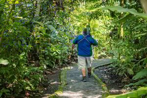 La Fortuna : Tour des paresseux dans le parc du volcan Arenal et collation locale