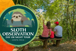 La Fortuna: Small-Group Sloth Watching Experience