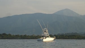 Luna Tours Sportfishing