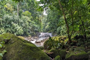 Manuel Antonio: mountainbiketocht door de jungle naar een waterval