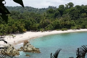 Kombinasjonstur til Manuel Antonio nasjonalpark fra San Jose