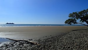 Marino Ballena National Park