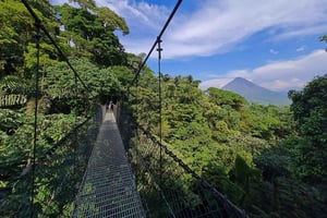 Mistico Hanging Bridges + Transportation + Naturalist Guide