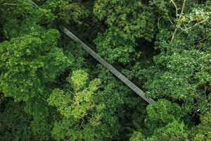 モンテベルデ：バードウォッチング、ハミングバードガーデン