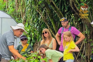 Monteverde: Coffee, Chocolate, and Sugar Cane Tour