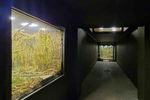 Monteverde: Guided Night Hike