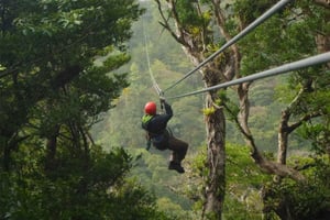 Monteverde: Aventura no dossel da Floresta Nublada de Monteverde