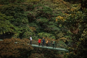 Monteverde : Aventure SkyWalk - Ponts suspendus