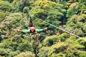 Monteverde: tyrolka, mosty i wycieczka po ogrodzie motyli