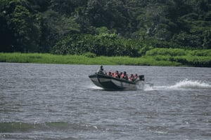 Tour in motoscafo nel Parco Nazionale di Tortuguero **MIGLIOR VENDITORE**