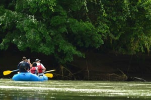 Flotador Safari Nocturno de la Naturaleza