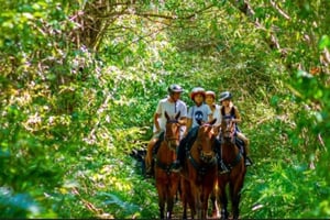 Experiencia de paseo a caballo en Nosara Ranch