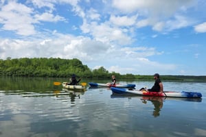 Ojochal : Excursion en kayak