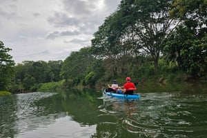 Península de Osa: tour en kayak por manglares con descanso en la playa