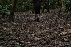 Yöpyminen Sirena & San Pedrillo, Corcovadon kansallispuisto