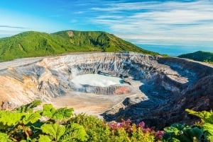 Vulkanen Poás, kaffeplantasje og La Paz' fossefallshage