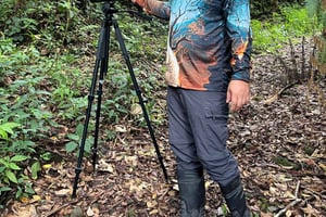 Poas Volcano National Park Guided Tour