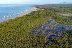 Paseo Privado Avellanas