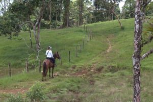 Passeggiata a cavallo privata - Río Celeste