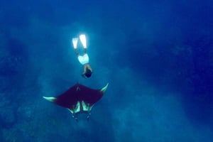 Isla del Caño - yksityinen retki – Blue Horizon Tours