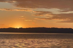 Puerto Jimenez: Kayak Adventure in the Golfo Dulce + Bioluminescence