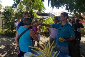 Puerto Limon: Półdniowa wycieczka po kanałach Tortuguero i Playa Bonita