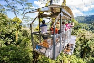 Puerto Limon: Veragua Regenwoud & Tortuguero Rondvaart