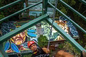 Puerto Viejo: Explore the giant ceibo tree with an accessible aerial circuit