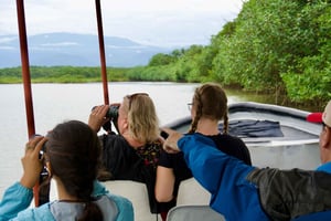 Quepos: Damas Island Authentic Local Mangrove Boat Tour
