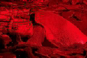 Samara: Turtle Nesting Watching Tour Corozalito