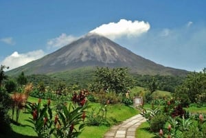 San Jose: Arenal Hanging Bridges & Baldi Hot Springs Tour