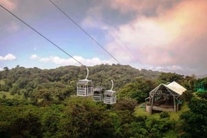 San Jose : Excursion d'une journée au Monteverde Sky Tram et aux Ponts suspendus