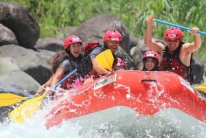 San Jose One Day: Sarapiqui Class 2 & 3 Rafting Adventure