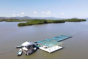 Tour Gastronómico de Mariscos al Restaurante Flotante de Puntarenas en bote