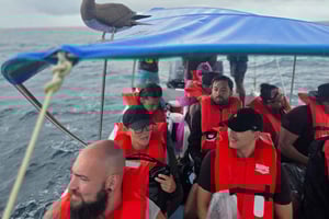 Sierpe Caño Island Snorkeling i Boat Tour Mangrove Forest