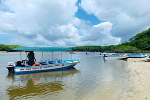 Tamarindo Estuary: Explore by Boat or Kayak - Choose your tour!