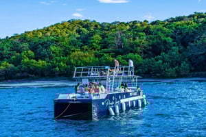 Tamarindo: tour privato mattutino in catamarano con snorkeling