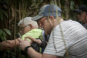 Tortuguero: Canoe tour, Day hike and Tortuguero Turtle tour