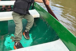Tortuguero : excursion guidée en canoë dans le parc national