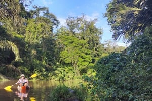 Tortuguero National Park: kajaktocht met gids