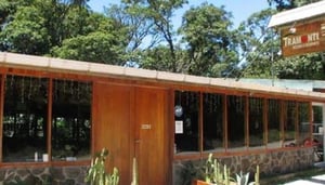 Tramonti Pizzeria and Restaurant