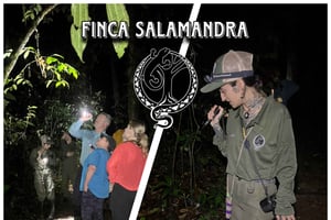 True Jungle Night Tour Manuel Antonion alueella