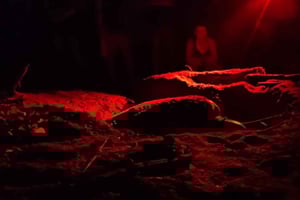 Kilpikonnaretki Tortuguerossa