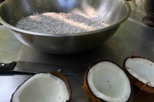 ウビタ：ガイド付きココナッツツアー